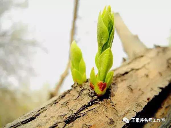 5d5e0cece156a.jpg 5d5e0cece156a.jpg