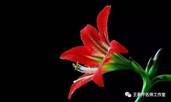 5d5e0d2323f0b.jpg 5d5e0d2323f0b.jpg