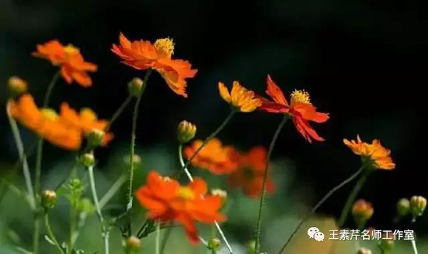 5d5e0d41c11f0.jpg 5d5e0d41c11f0.jpg