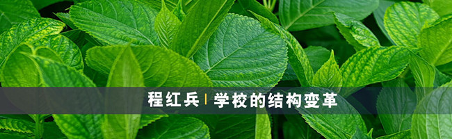 5d639bd2b0c4b.jpg 5d639bd2b0c4b.jpg