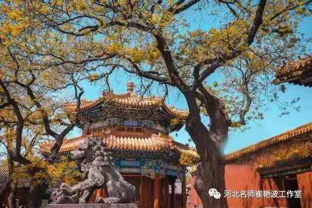 5dbe52b153d8d.jpg 5dbe52b153d8d.jpg