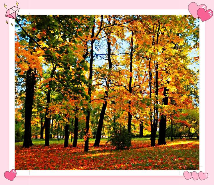 5de9fa73d5dbe.png 5de9fa73d5dbe.png