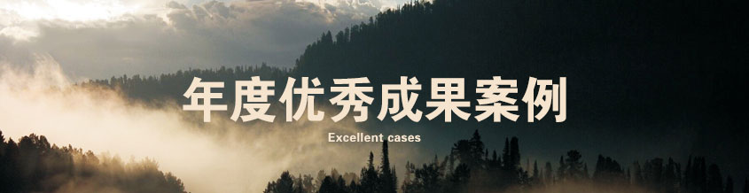 年度“優(yōu)秀成果”案例