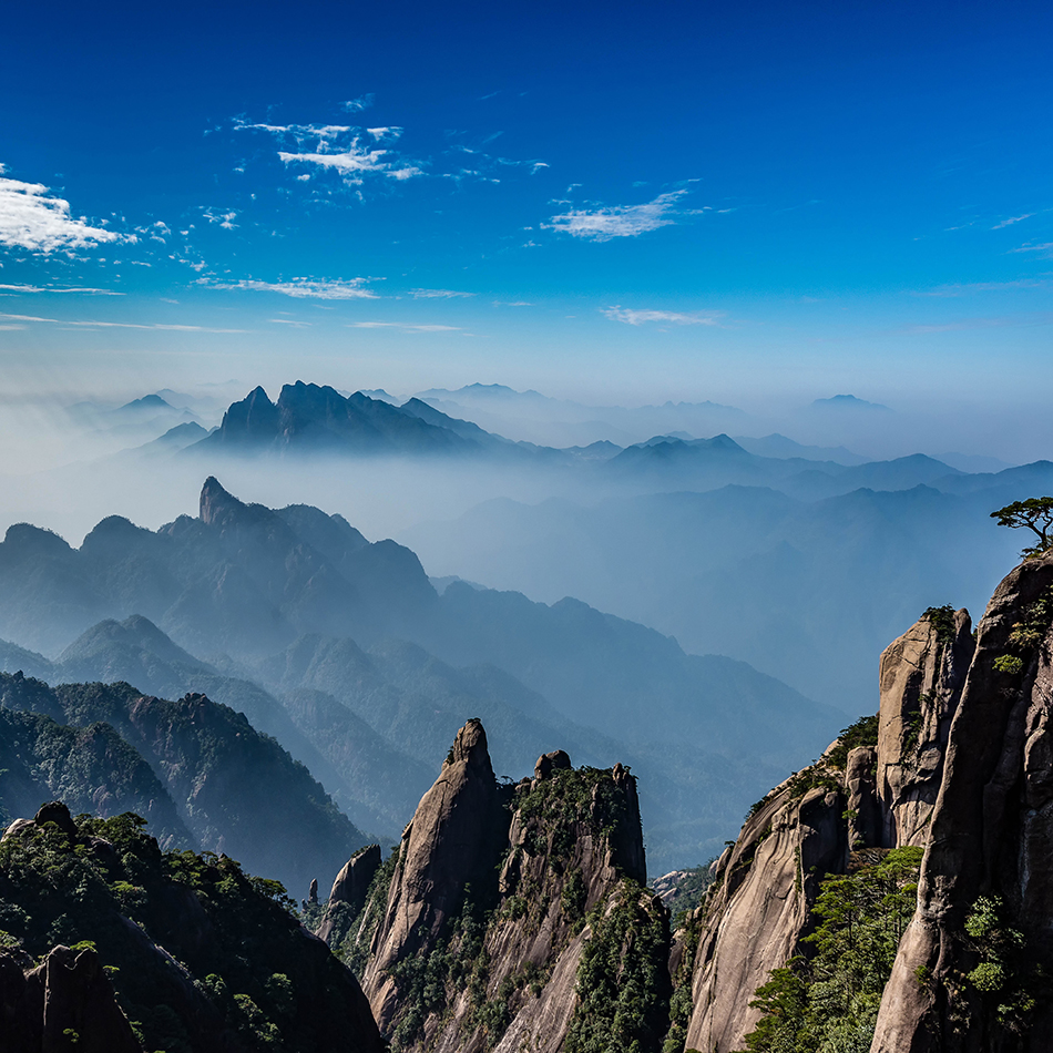 5e92d85d86b08.jpg 5e92d85d86b08.jpg