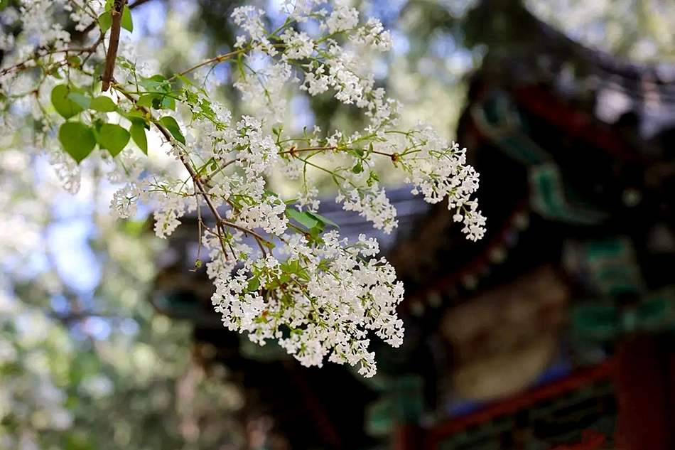 5e9676020c5d3.jpg 5e9676020c5d3.jpg