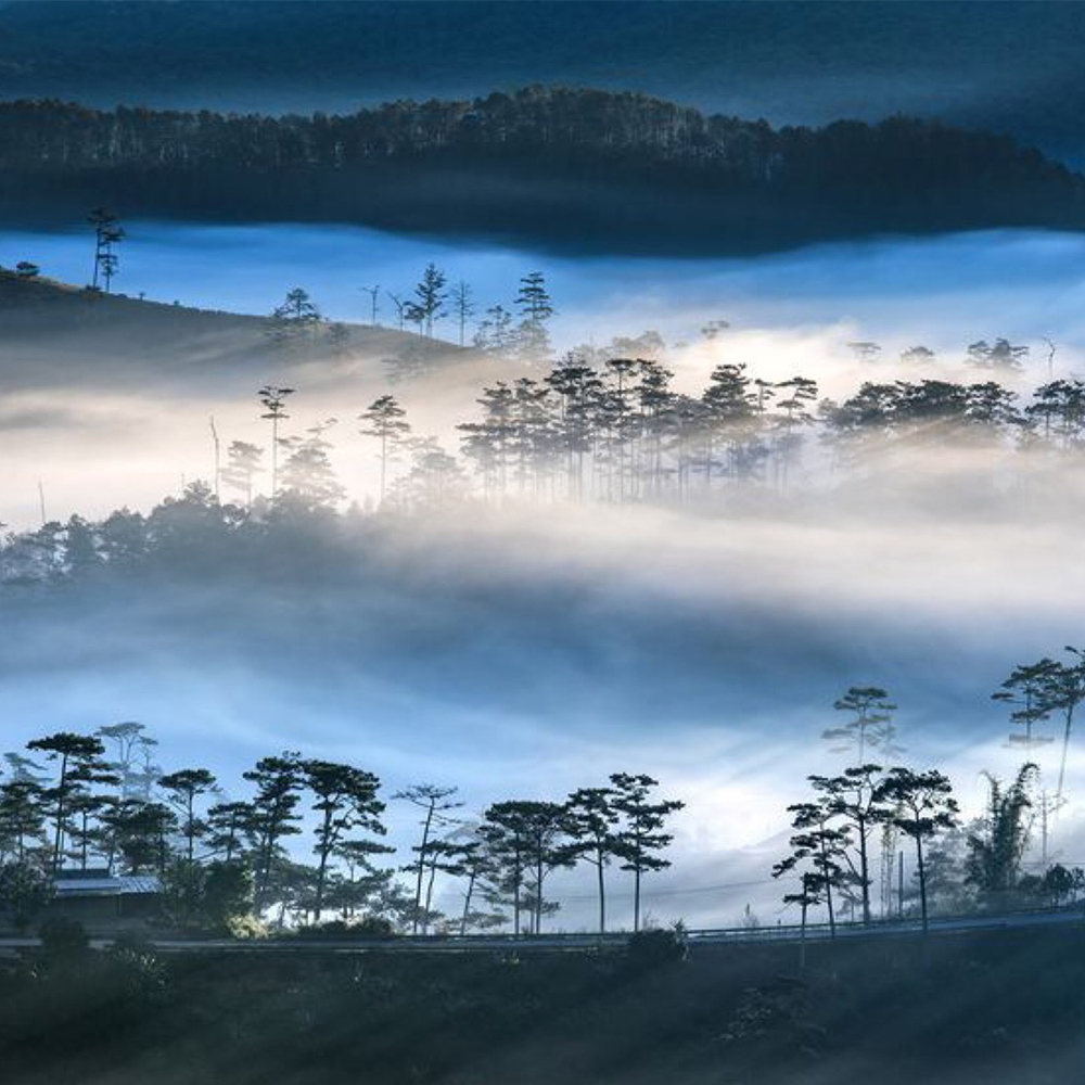 5eafececac83f.jpg 5eafececac83f.jpg