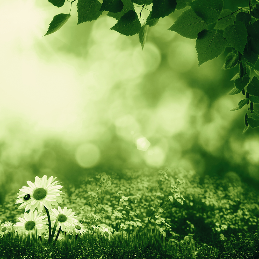 5eafed5648828.jpg 5eafed5648828.jpg