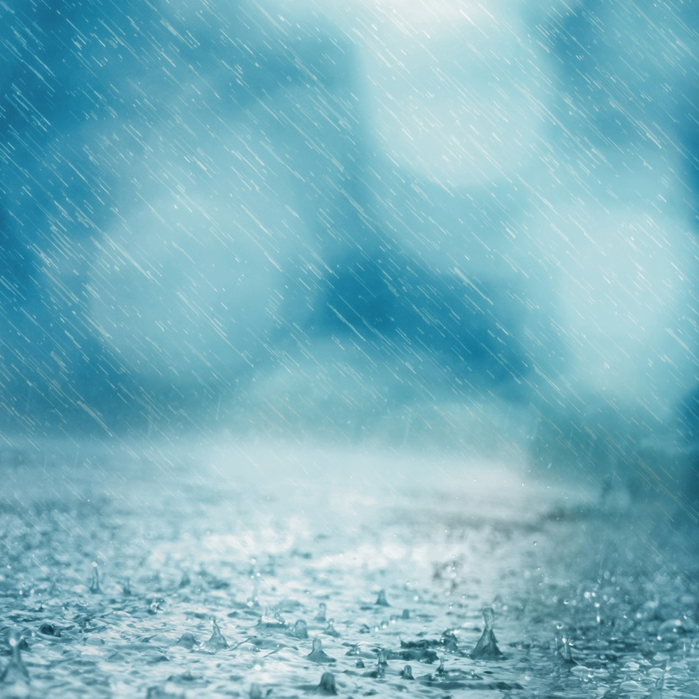 5eafed8fccd97.jpg 5eafed8fccd97.jpg