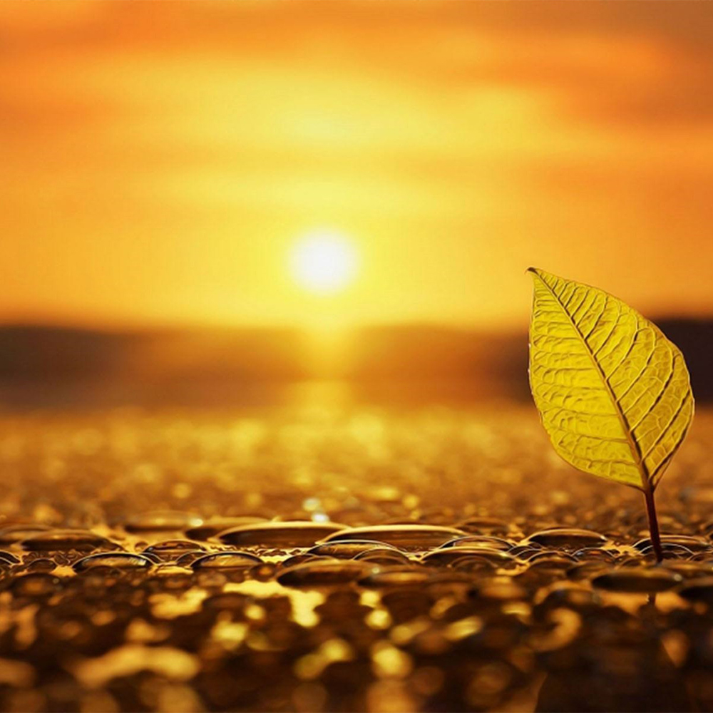 5eafee8806108.jpg 5eafee8806108.jpg