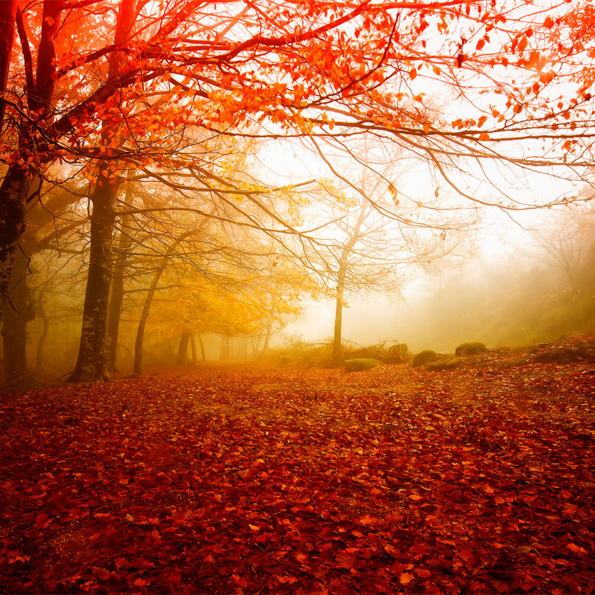 5eafeec1ae128.jpg 5eafeec1ae128.jpg