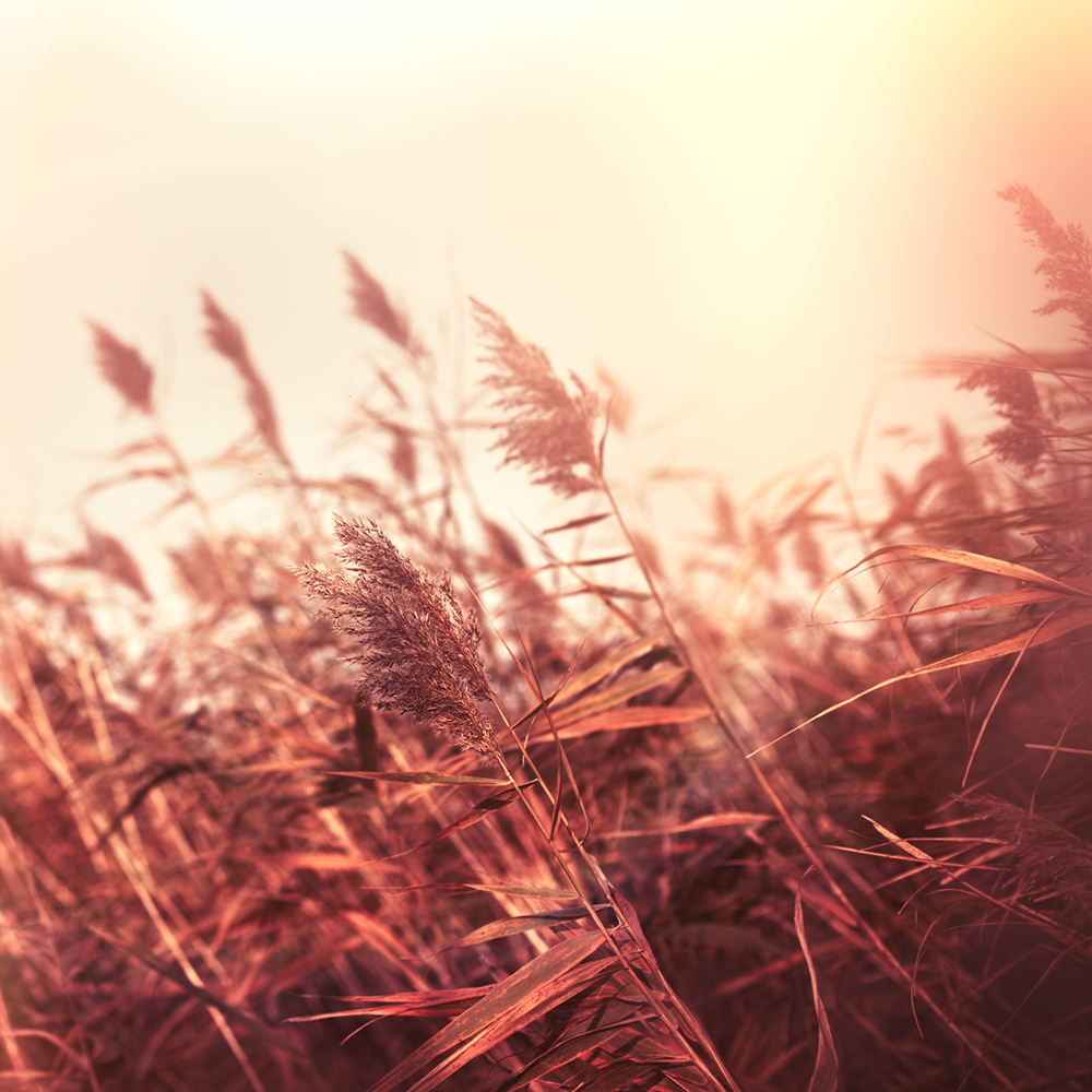 5eafeeede25b0.jpg 5eafeeede25b0.jpg