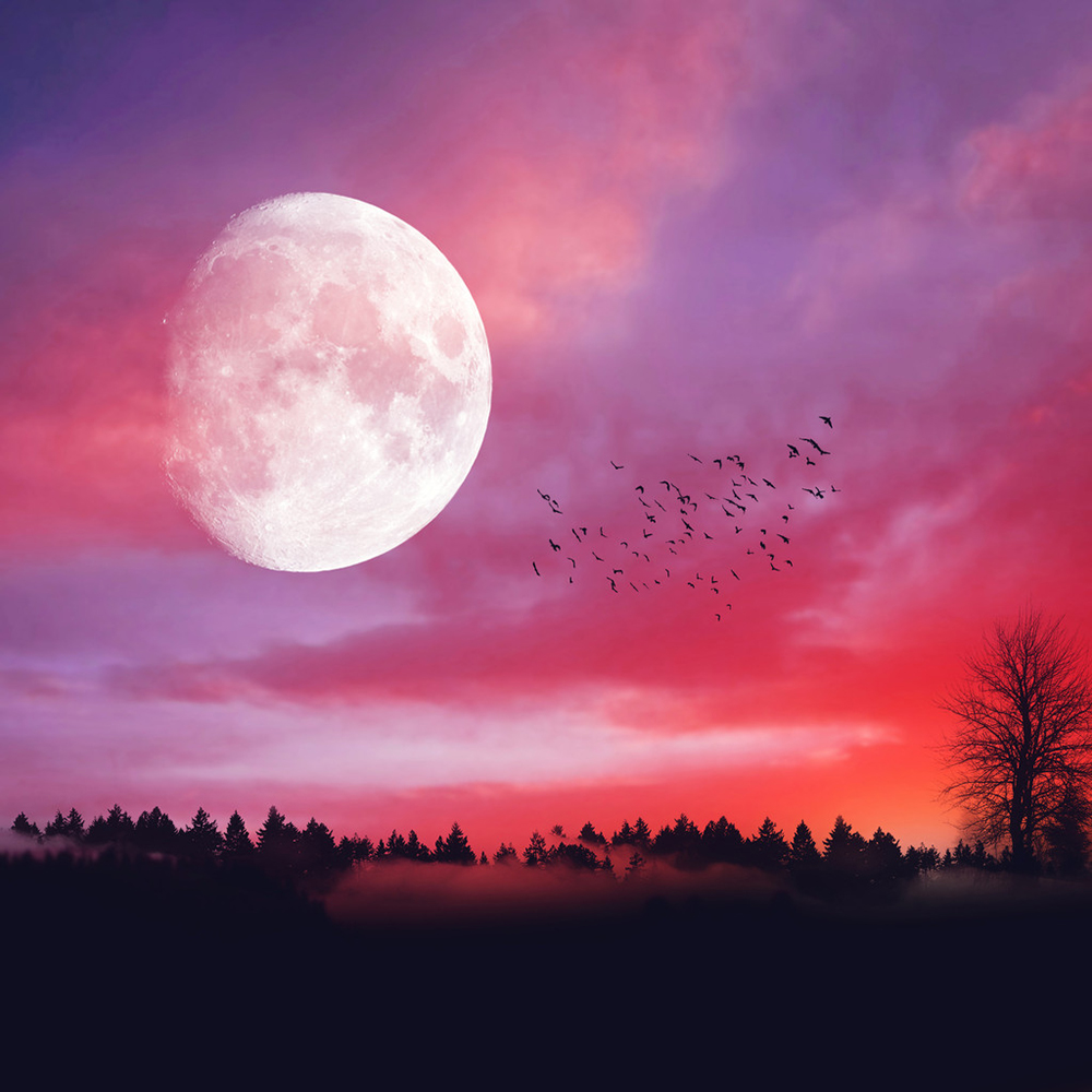 5eafefb2db93c.jpg 5eafefb2db93c.jpg