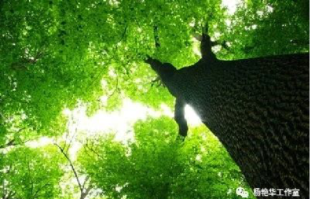 5ee311466f6f5.png 5ee311466f6f5.png