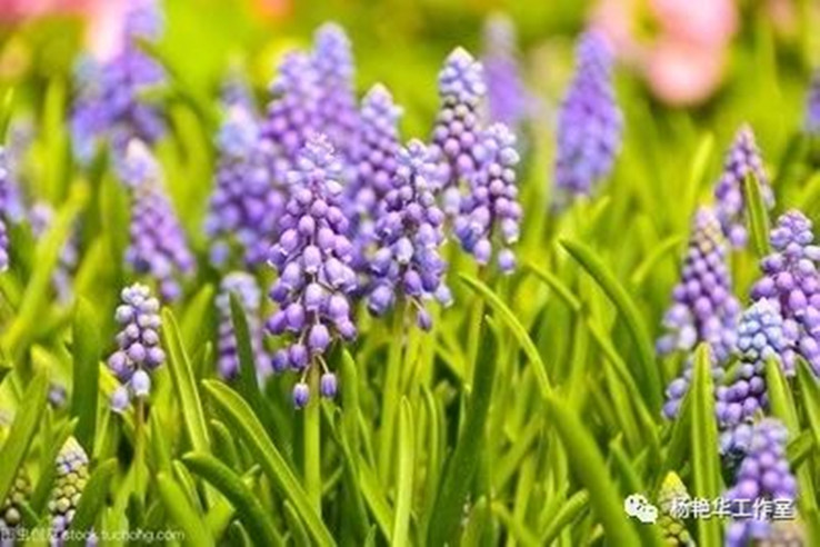 5ee315991bbaa.jpg 5ee315991bbaa.jpg