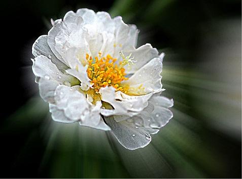 5f61ae882e5d7.jpg 5f61ae882e5d7.jpg