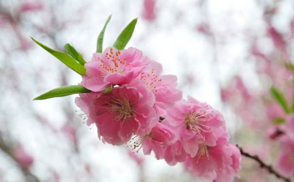 5f630fea792c9.png 5f630fea792c9.png