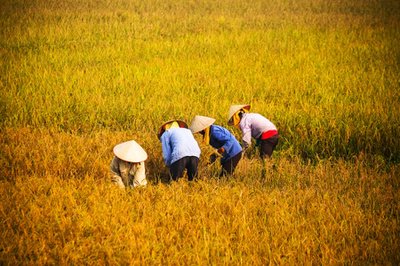 5f640f05bc11b.jpg 5f640f05bc11b.jpg