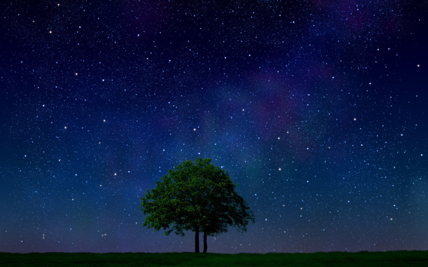 5f8d0545018fb.png 5f8d0545018fb.png