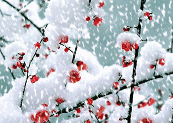 5f8d398f106cb.jpg 5f8d398f106cb.jpg