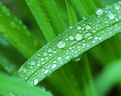 5f8d5a4fb4357.jpg 5f8d5a4fb4357.jpg