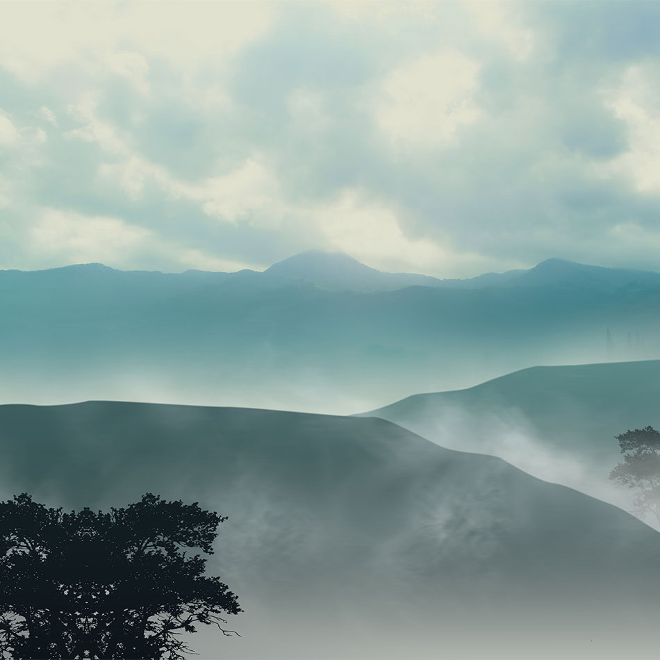 5fd041db553fe.jpg 5fd041db553fe.jpg