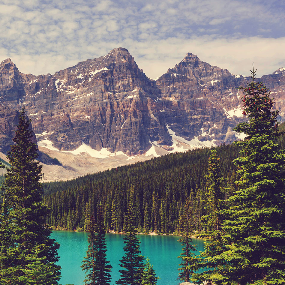 5fd04569835fc.jpg 5fd04569835fc.jpg