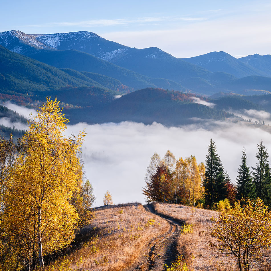 5fd04584324d6.jpg 5fd04584324d6.jpg