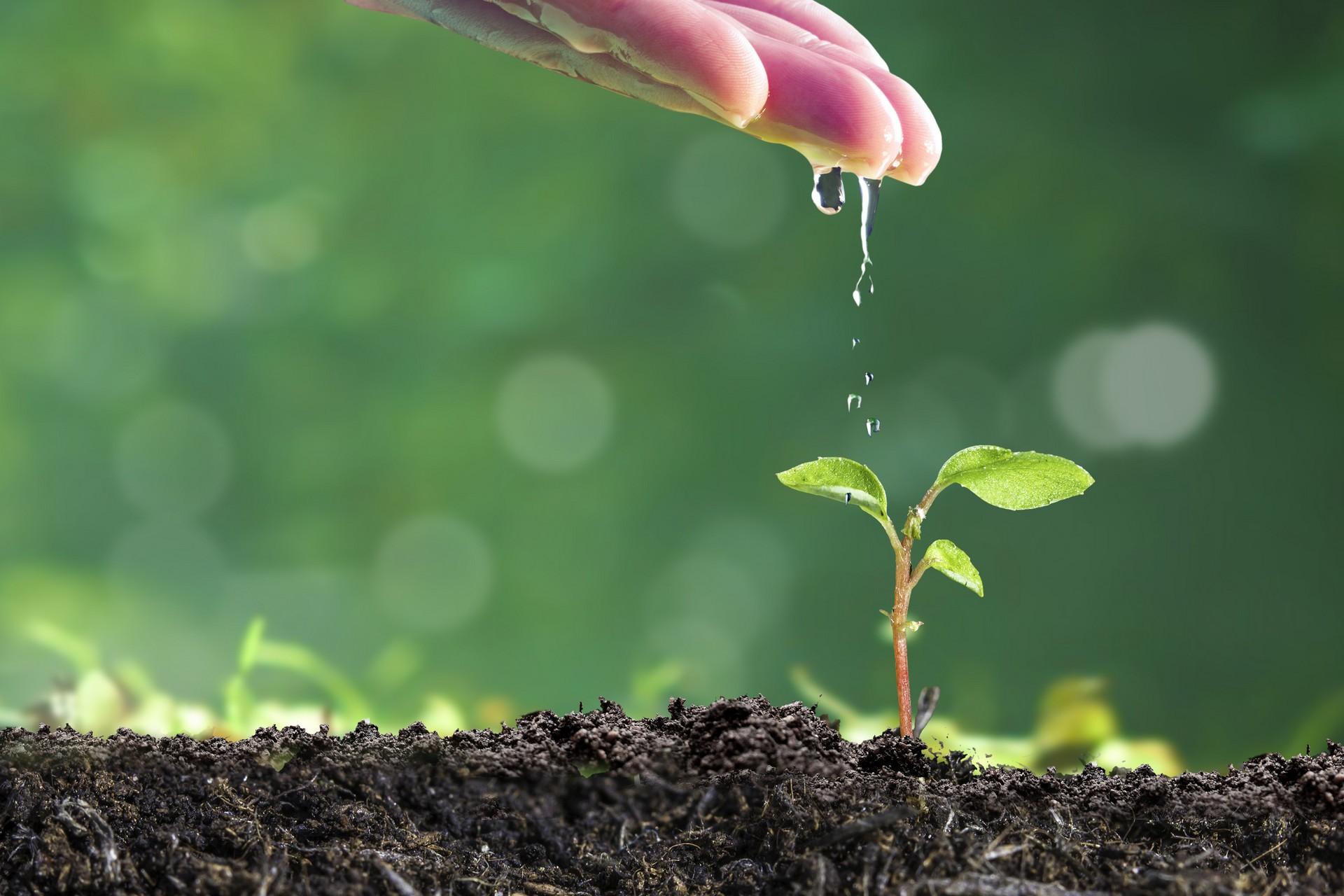 60504ae519cac.jpg 60504ae519cac.jpg