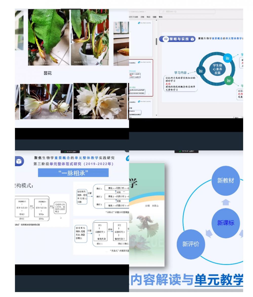 6318884ddbfd9.jpg 6318884ddbfd9.jpg