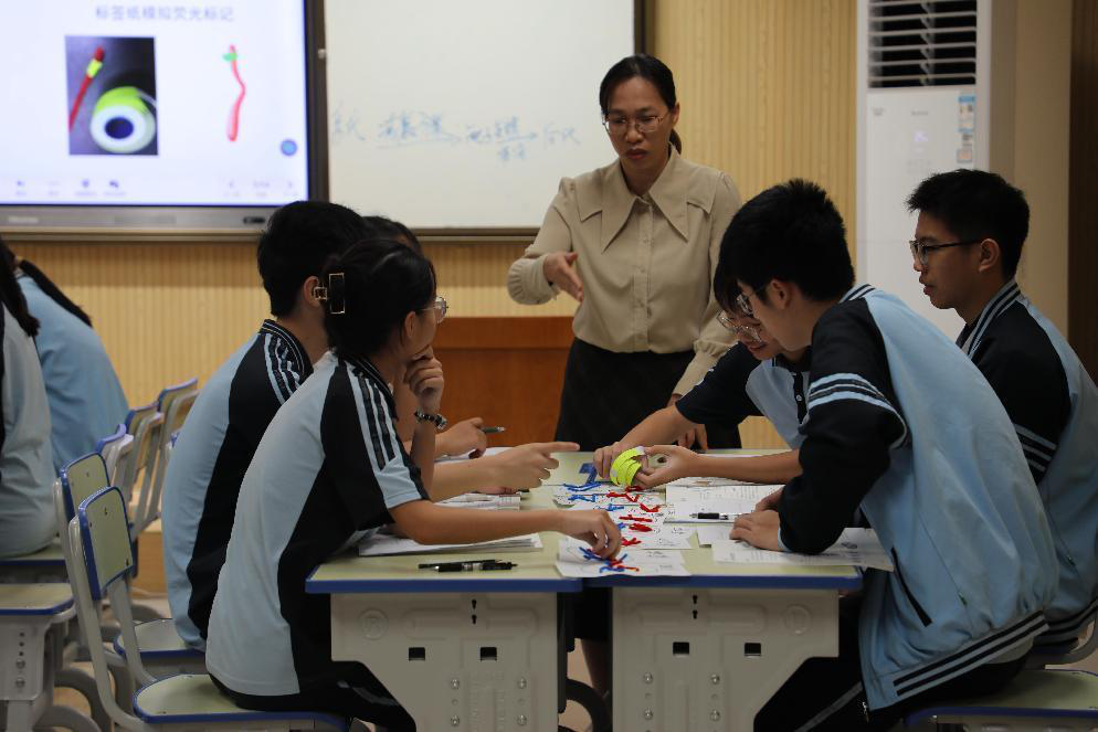 663de7fd6dc2a.png 663de7fd6dc2a.png