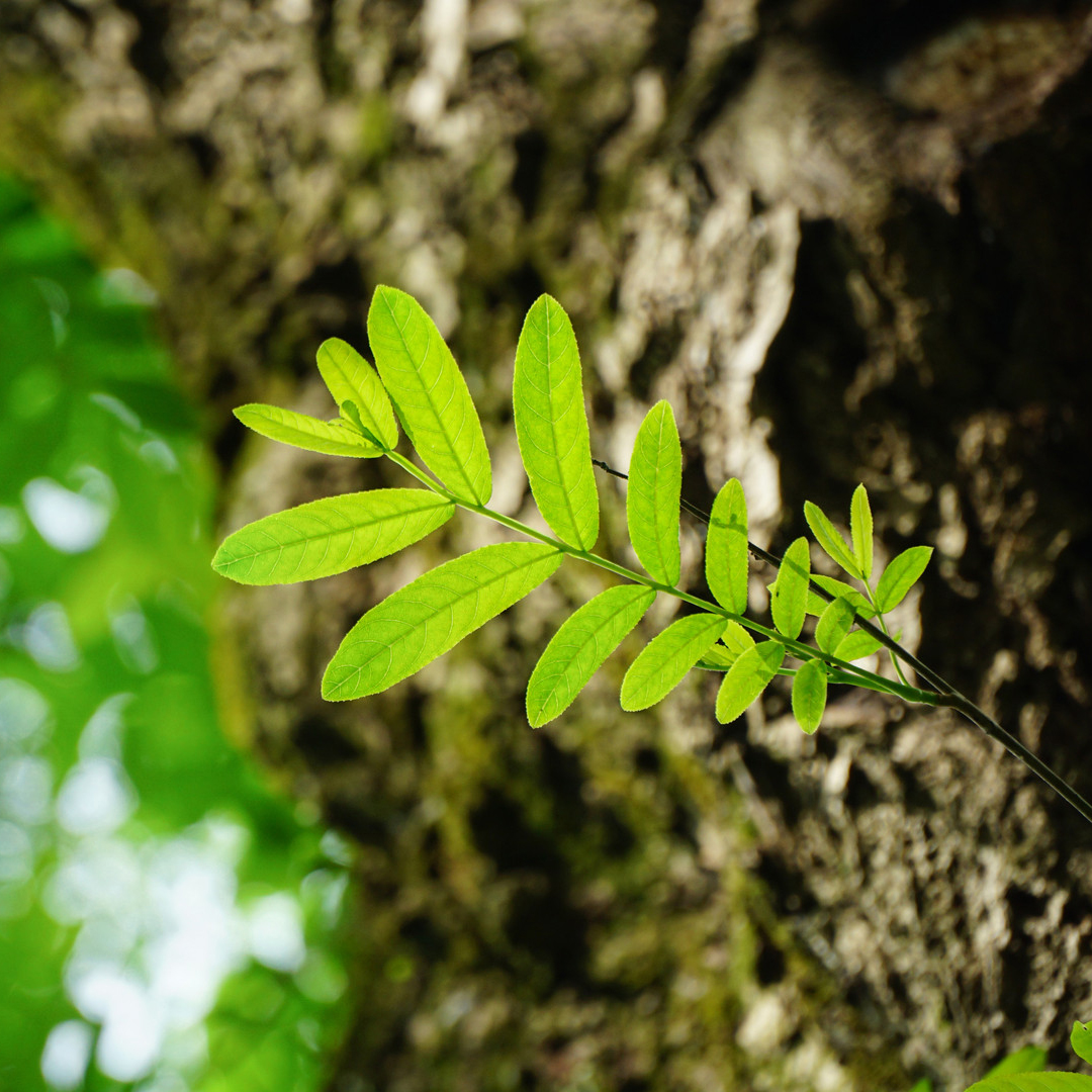 684936b7d19d4.jpg 684936b7d19d4.jpg