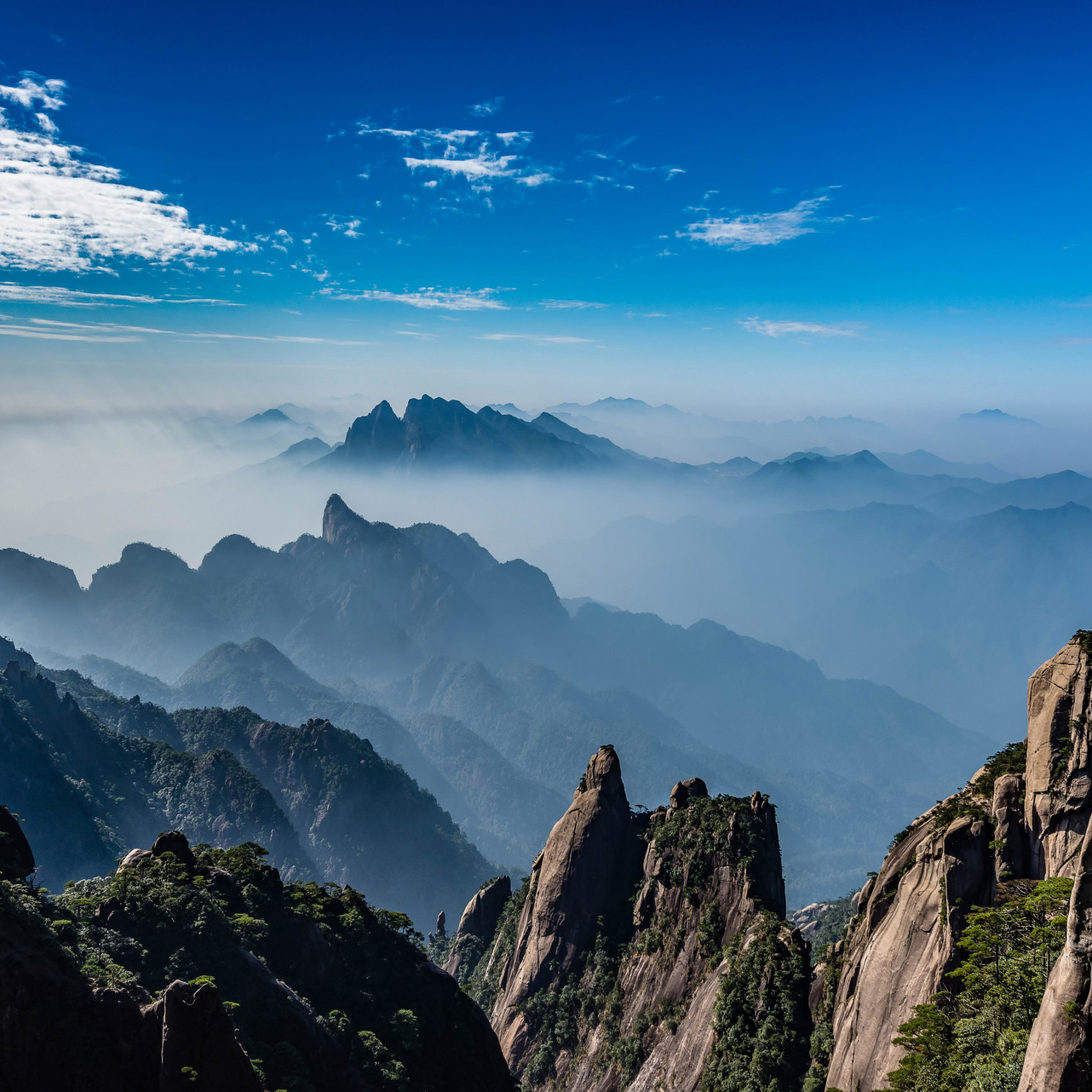 684936f09864d.jpg 684936f09864d.jpg