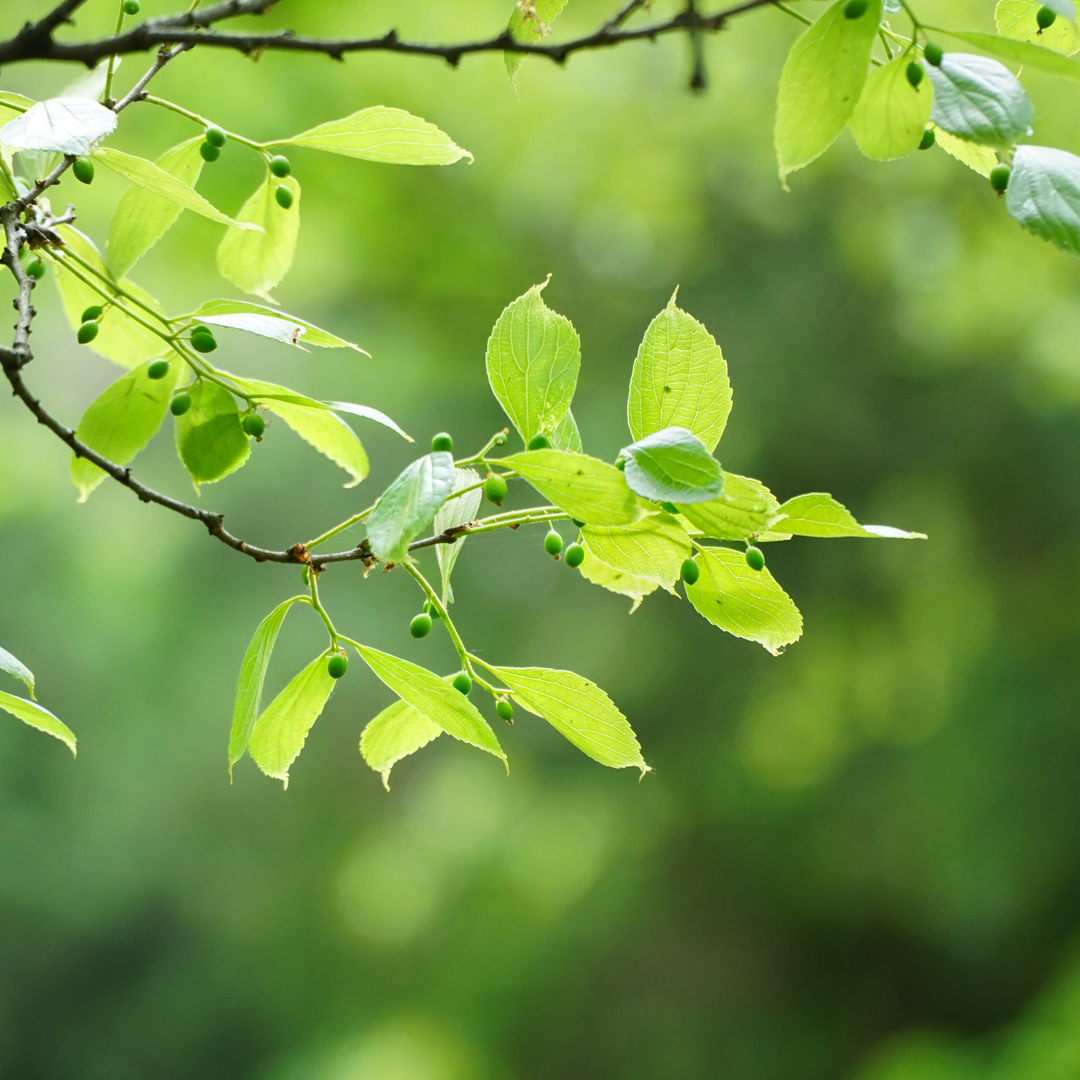 684936f940a7e.jpg 684936f940a7e.jpg