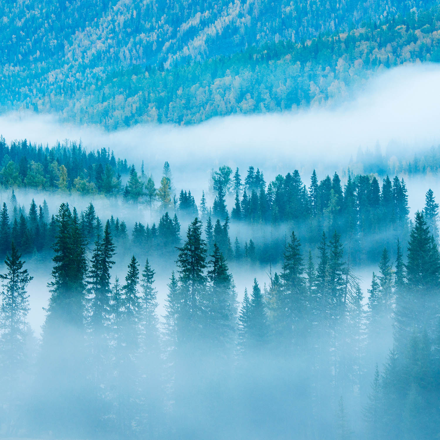 686a89e8147e1.jpg 686a89e8147e1.jpg