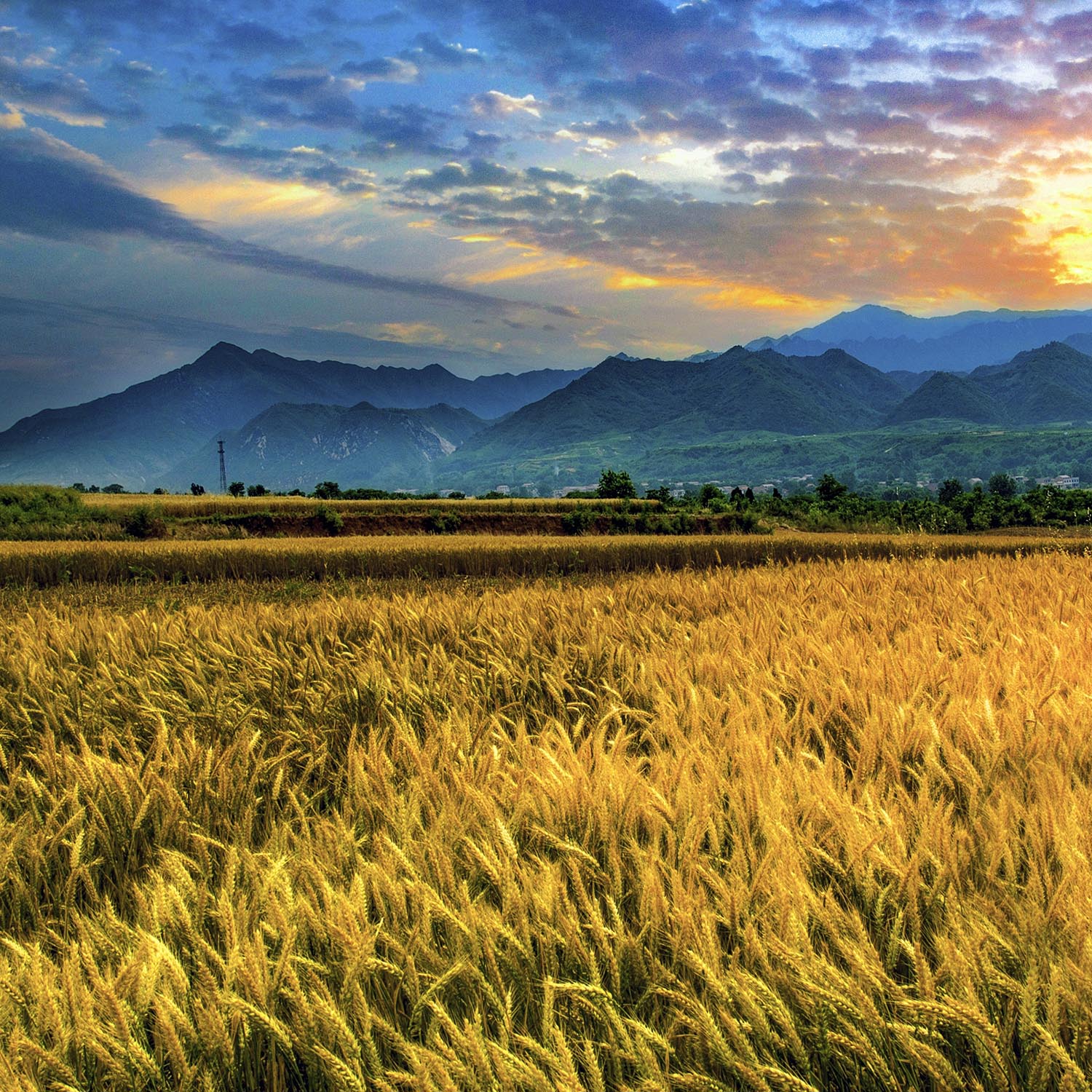 686a8a09e64d0.jpg 686a8a09e64d0.jpg