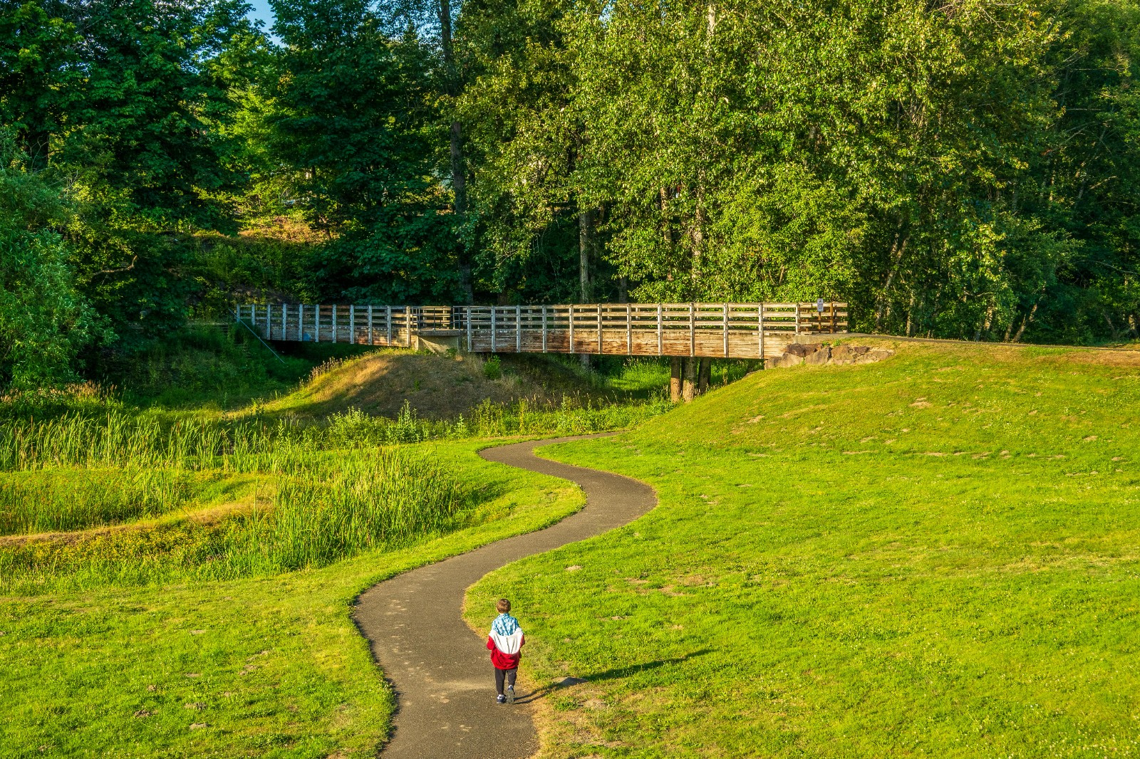 686f98a97e956.jpg 686f98a97e956.jpg